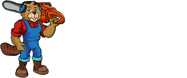Jornal Jaru